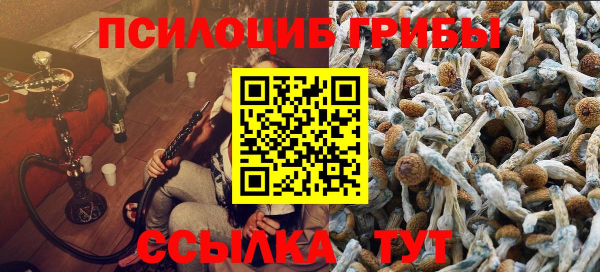 Псилоцибиновые грибы Magic Shrooms Обнинск