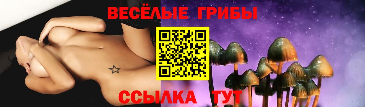 Обнинск  Псилоцибиновые грибы прущие грибы  Вход с VPN  Псилоцибиновые грибы MAGIC MUSHROOMS 